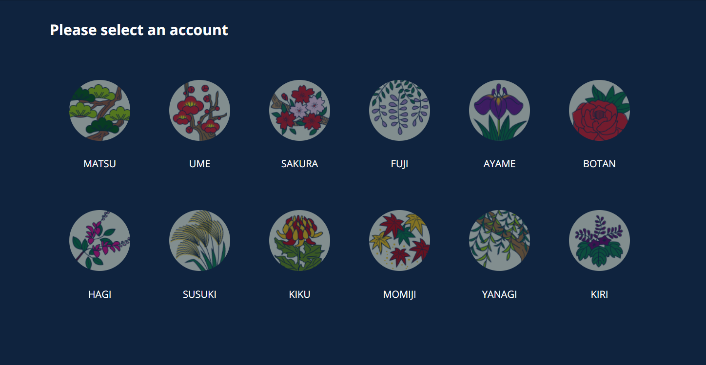 ../_images/Account_Selection.png